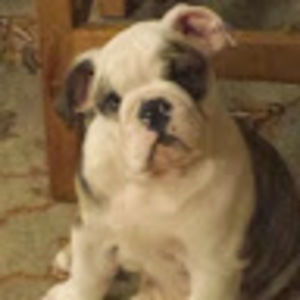 Meet your Posher, Raymond